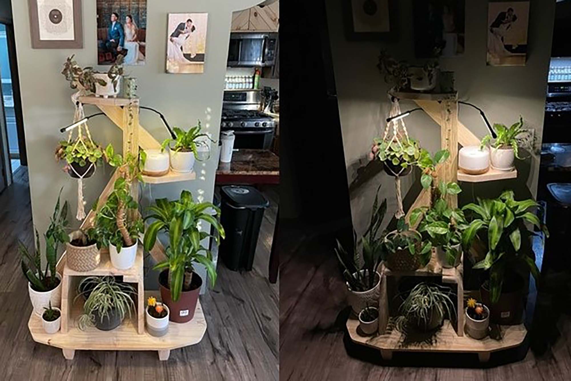 Multi-Tiered Plant Stand with Grow Lights - 2024