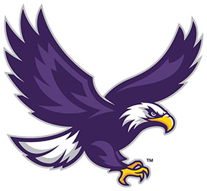 Full body eagle logo.