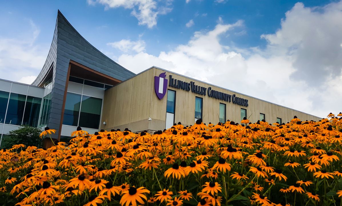 Photo of IVCC with yellow flowers