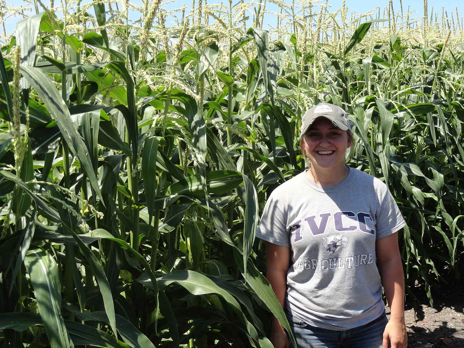 IVCC Ag student at internship site