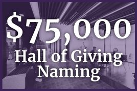 $75,000 or Greater for Hall of Giving Naming
