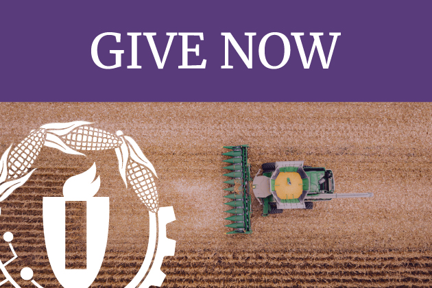 Give Now