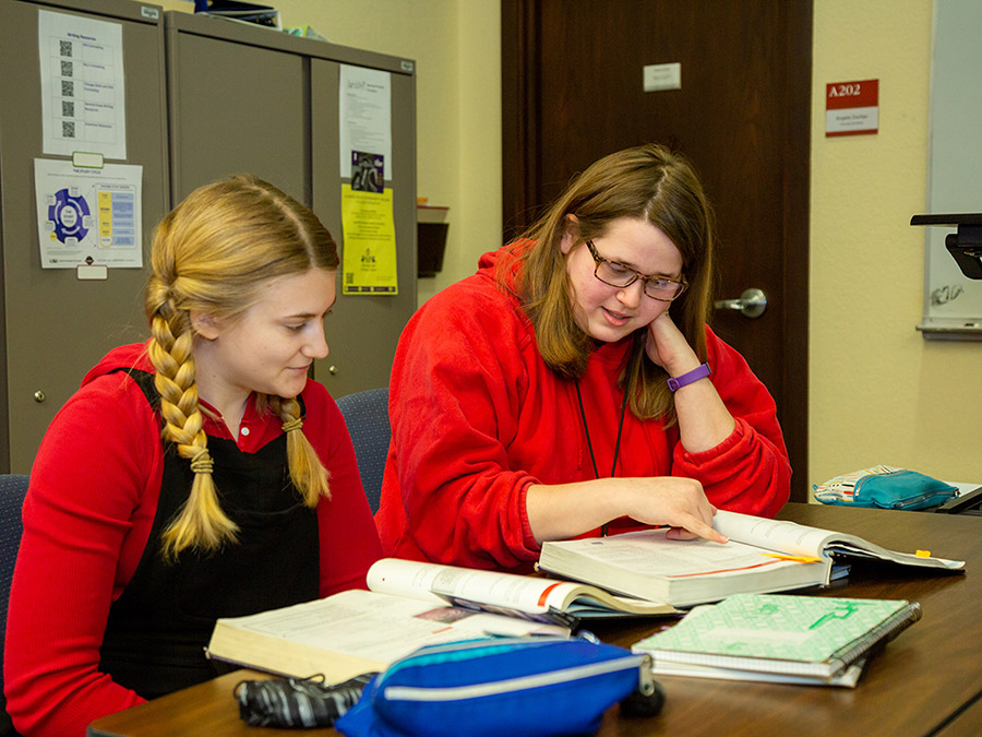 Two students working on math